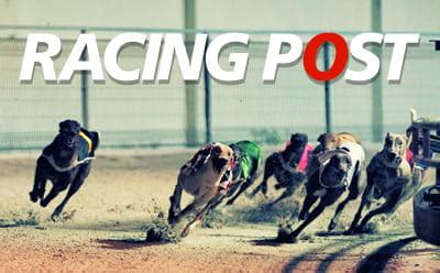 greyhound channel betting.